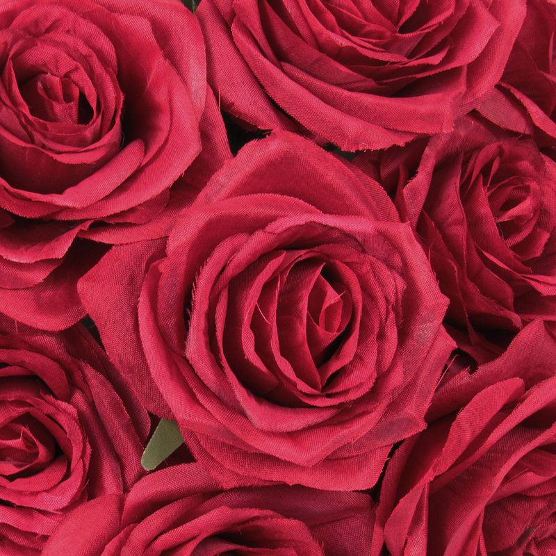 Grand rosier, Rouge