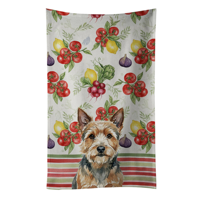 Serviette de cuisine Norwich Terrier, Norwich Terrier
