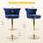 Premium Adjustable Bar Stool