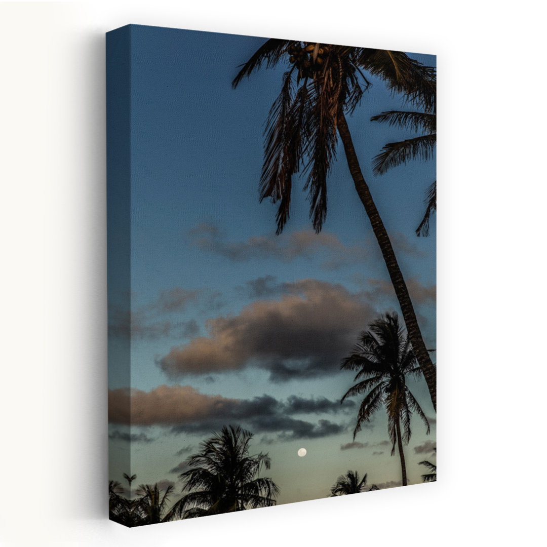 Contemporary Art Serene Tranquil Abstract Palm Tree Landscape Nature Art by Shot By Clint - Print
