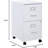 Locking Metal File Cabinet With Mobile Casters For Office Organization And Document Security-114609447