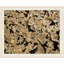 Floating Petals' Framed Photographic Print on Glass