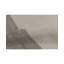 Oriental Area Rug