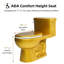 Toilette une pièce colorée avec base ronde, cuve de toilette allongée 17 po, siège ADA, chasse simple 1,28 GPF, brut 12 po-116381092