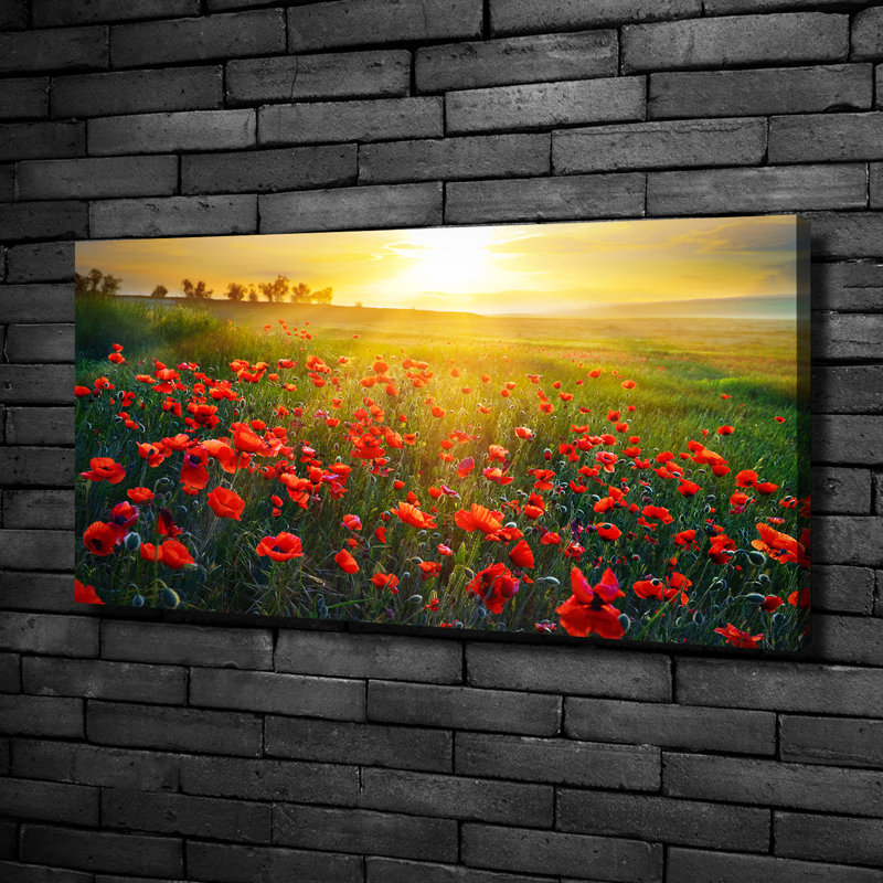 Field Of Poppies - Wrapped Canvas Print