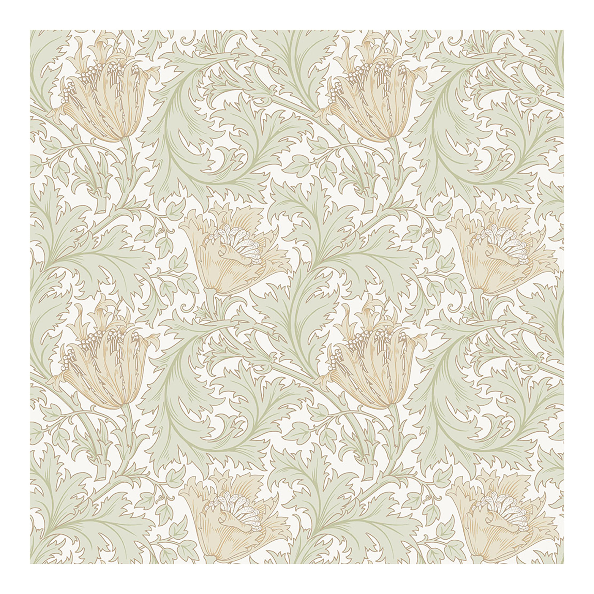 Anemone Floral Wallpaper, Light Green
