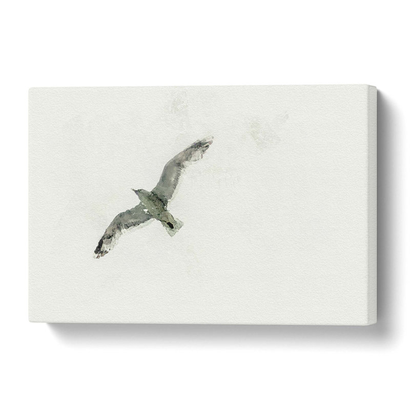 Flying Seagull in Abstract - Wrapped Canvas, 50.8 cm H x 76.2 cm W