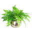 Steen Handmade Metal Cachepot-39150825-39150826