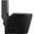 Dual-Flush One-Piece Toilet, Water-Saving Elongated Comfort Height, Soft Close Seat, Matte Black Finish