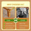 Solid Wood Bed-76630333