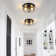 Alixandra 2-Light Flush Mount Glass Ceiling Light with Metal Frame