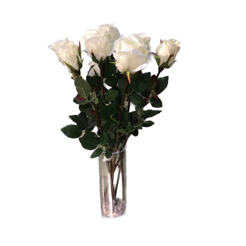 Large bud Rose, Ivory
