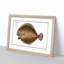 Turbot Fish by M.E. Bloch - Picture Frame Painting Print on MDF-55615139-55615140