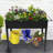Metal Garden Carts