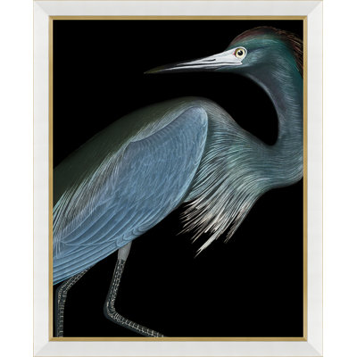 Solarized Audubon Birds Print
