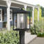 Vermont Seeded Lantern Head-272529102