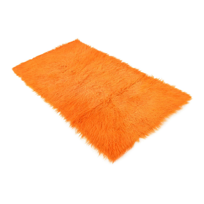 Iraheta Orange Rug