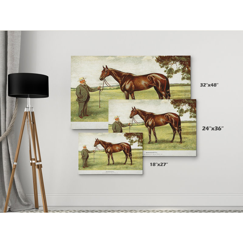 « équin drawing ii », impression, H 32 po x l 48 po x P 1,5 po, Pas de tapis, Toile tendue