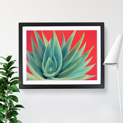 Spellbinding Aloe Vera Plant - Framed Print