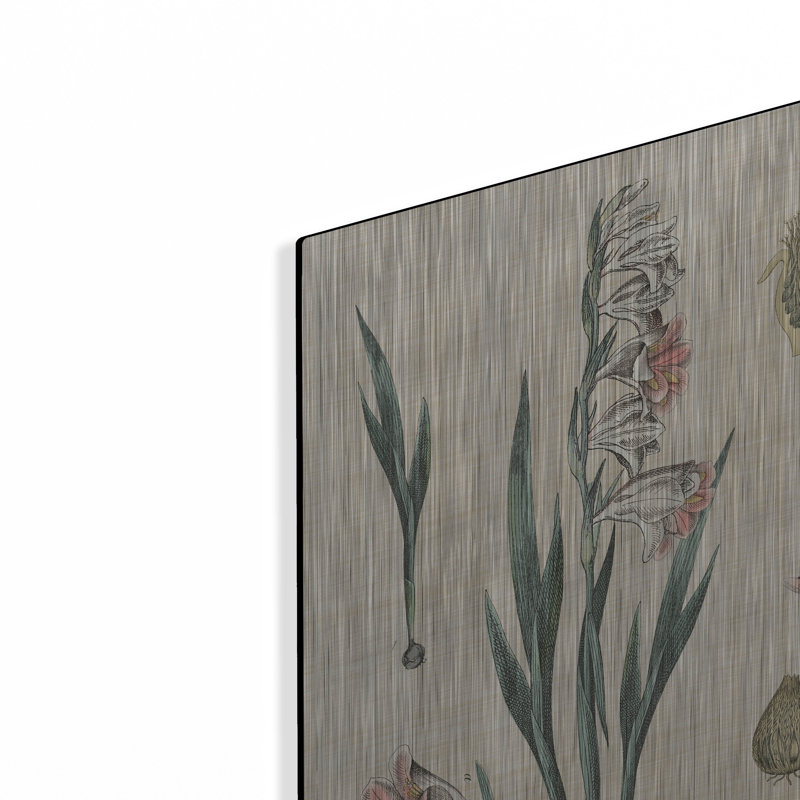 «Gladiola charte lin» par Sue Schlabach, art mural en métal, H 16 po x l 12 po