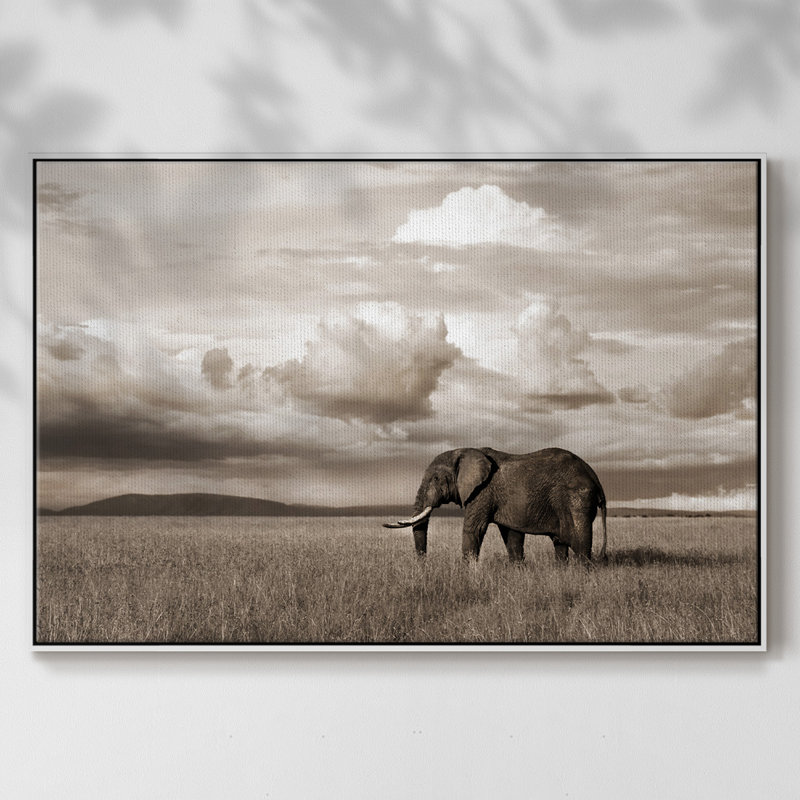 Maasai Majesty sépia, peinture sur toile, Cadre blanc, H 27 po x l 41 po x P 2 po
