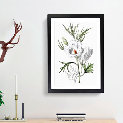 White Hibiscus Flowers - Picture Frame Painting Print