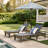 Scheiner 24'' Outdoor Acacia Chaise Lounge-507722090
