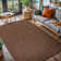 Brown Indoor/Outdoor Rug