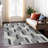 Machine Washable Indoor/Outdoor Chantille ACN2422 Mid-Century Modern Rug-984425097