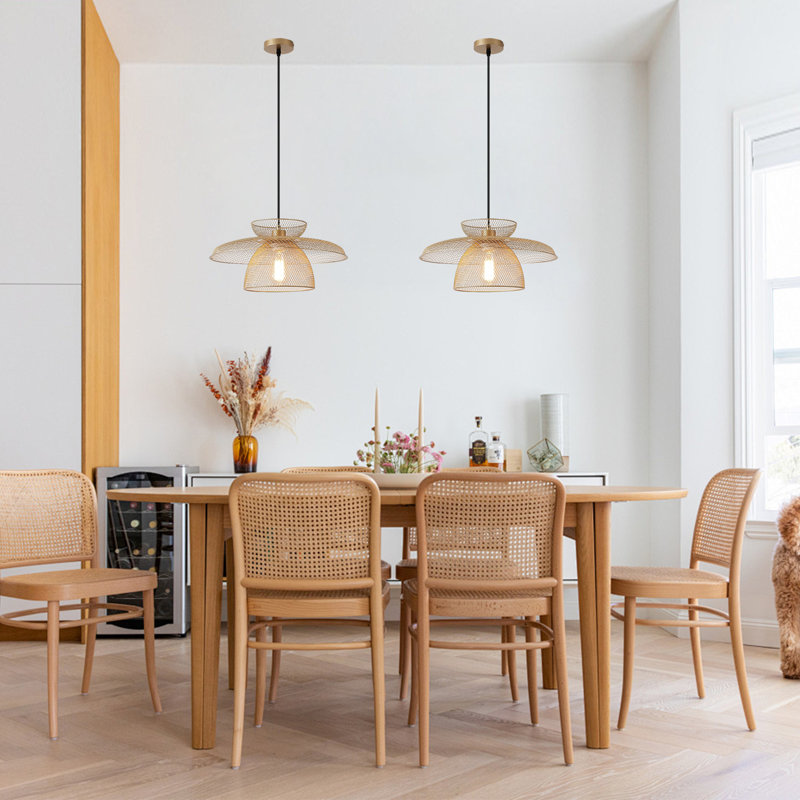 Rollegem 1-Light Unique Dome Pendant, Gold