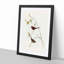 Crimson Finch by Elizabeth Gould - Framed Print-55490448-55490451