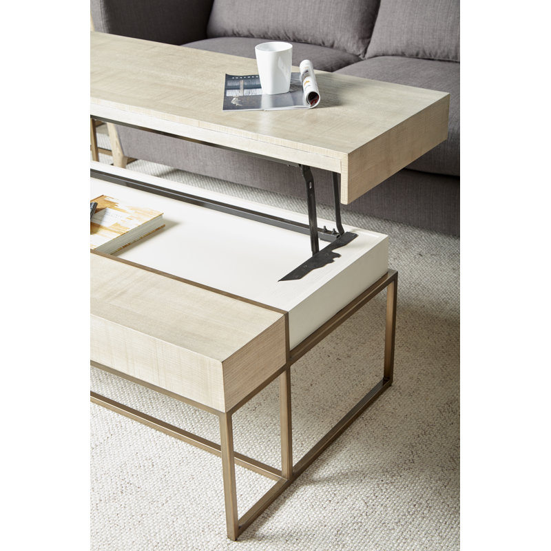 Shale Rectangular Lift-Top Coffee Table with Storage in Figured Ash & Metal