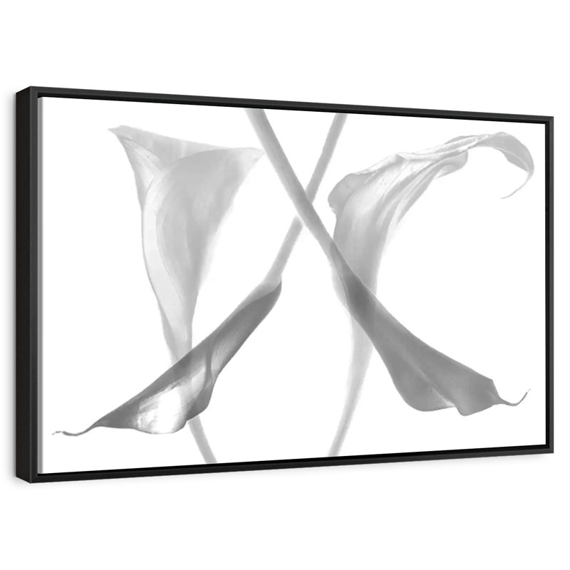 Lys diaphanes de Calla, Cadre flottant noir, 40 po x 27 po