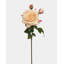 Real Touch Prestige rose rose 22 po-1152958053