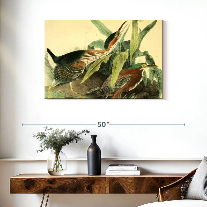 Bramon, héron vert d'oiseaux d'Amérique, H 24 po x l 36 po
