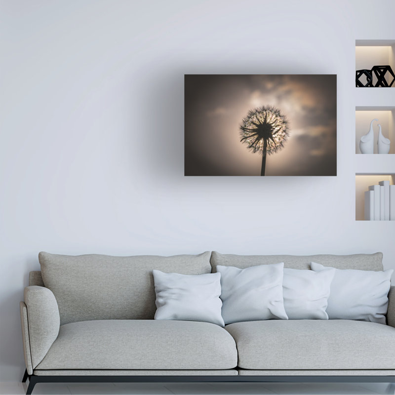 Art sur toile, "irlandais pudique", H 12 po x l 19 po