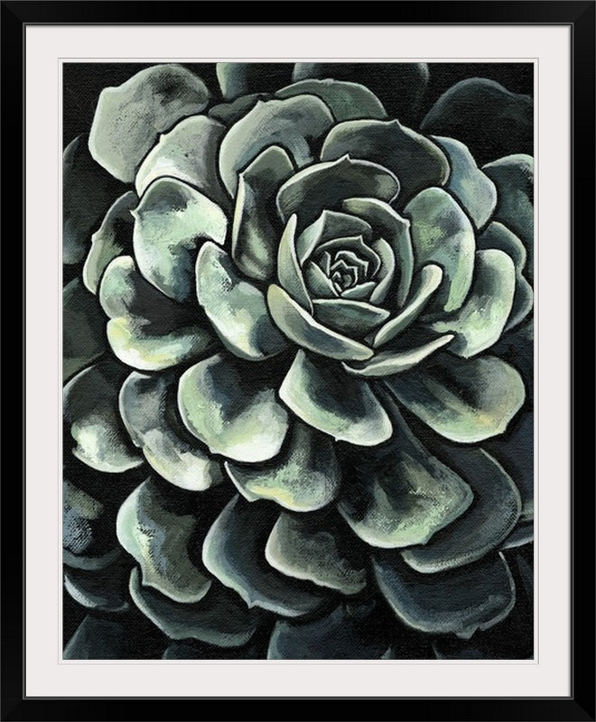 « ii » megan meagher, reproduction d’art Lunar Succulent, H 32 po x l 27 po x P 1 po, Cadre noir