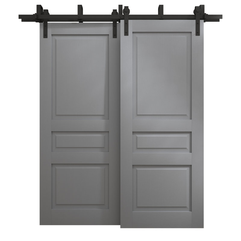 Portes coulissantes de grange coulissantes pour garde-robe | Ego 5012 | Ensemble de quincaillerie Modern Rails | Portes de garde-robe de chambre en bois massif