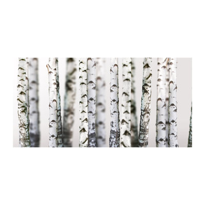 Birch trunks 1 Piece Wall Art