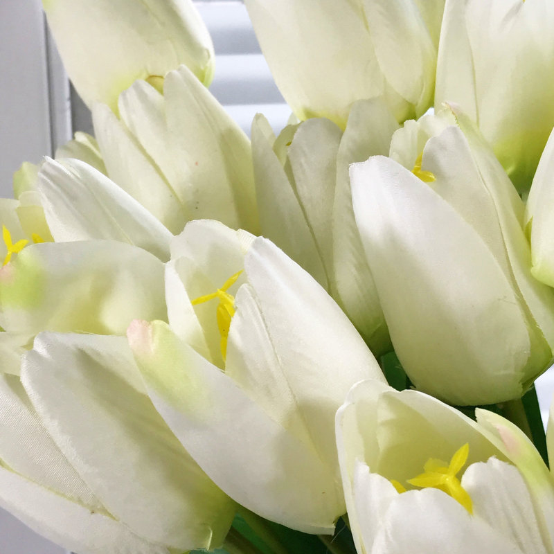 Arrangement floral de tulipes dans un vase, Crème