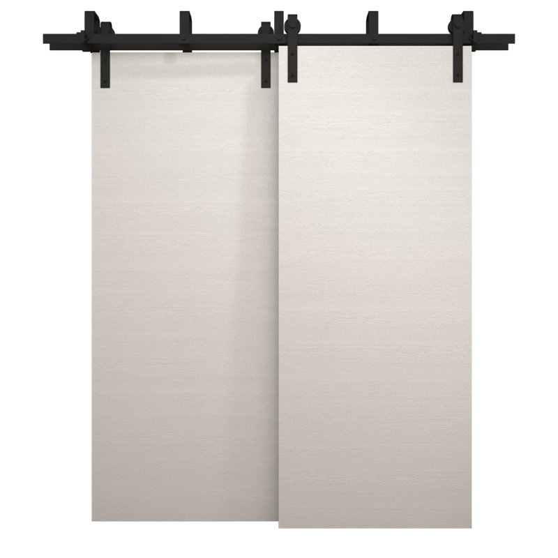 Portes coulissantes de grange coulissantes pour garde-robe | Ego 5000 | Ensemble de quincaillerie Modern Rails | Portes de garde-robe de chambre en bois massif