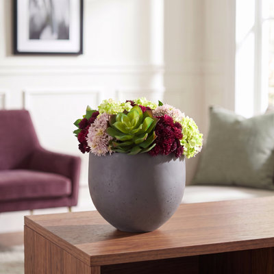 Arrangement de plantes grasses en pot de fibres