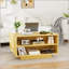 Table basse à plateau relevable avec rangement, parfaite pour la vie moderne et peu encombrante, idéale pour les salons.