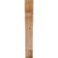 Attelle de genou olympique-29309935-31230592-70294188