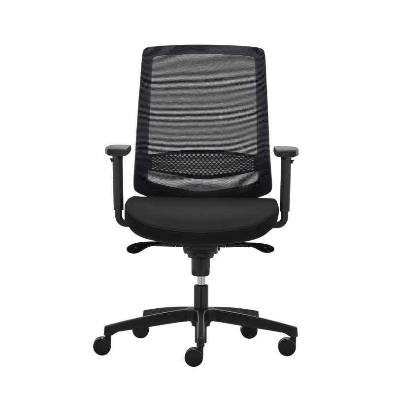 Mahlea Foam Padding Office Chair, Black