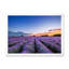 «Sunrise & Dramatic Clouds Over Lavender Field I», reproduction d'art sur toile-59628130-59628133