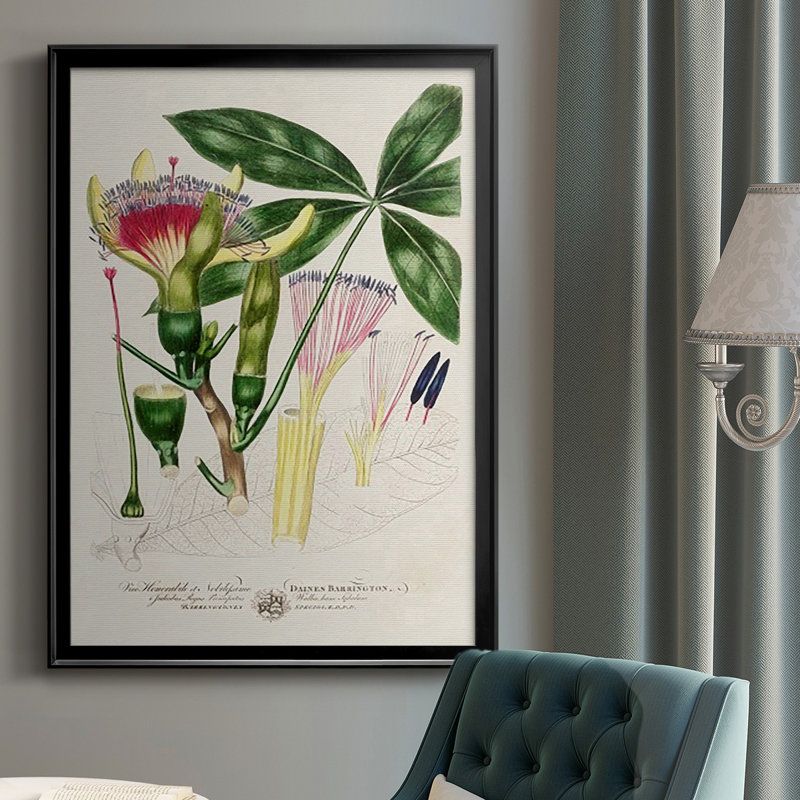 Imperial Tropical Botanical II, reproduction d'art encadrée, H 42,5 po x l 30,5 po x P 1 po, Noir