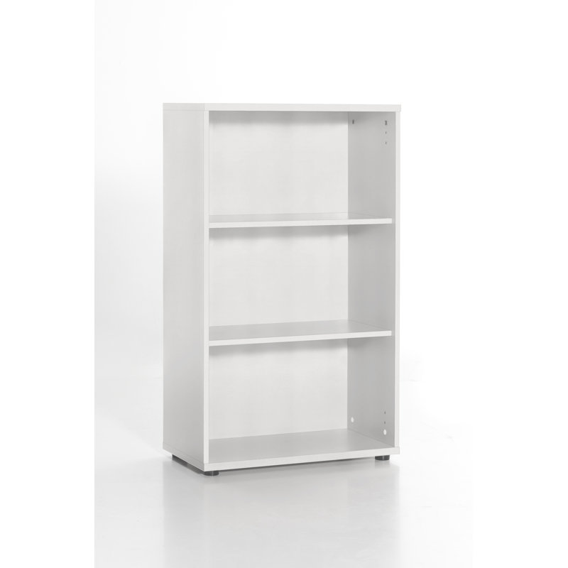 Amasia 110.9cm H x 65.1cm W Standard Bookcase