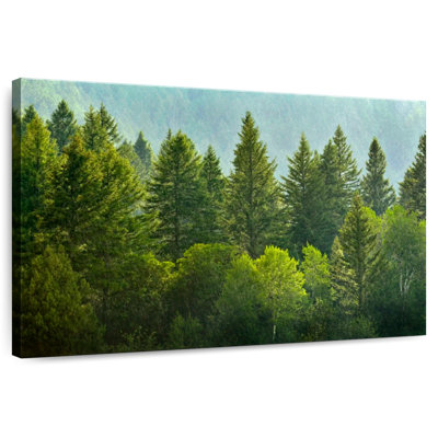 Alvord Lush Green Pine Trees