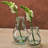 Small French Country Glass Vase, 6.25 inch, 25 oz Capacity-628084811